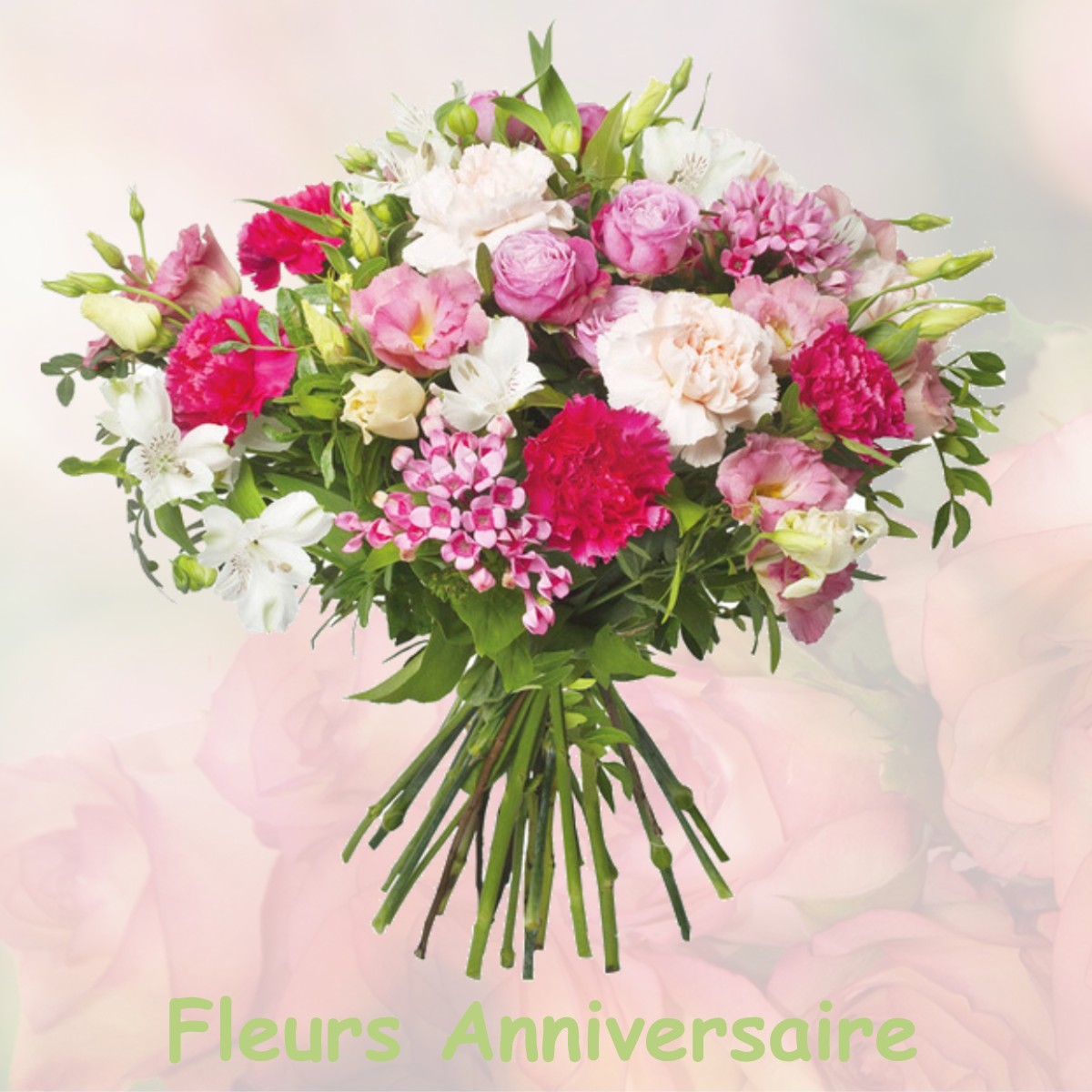 fleurs anniversaire MONTESPAN