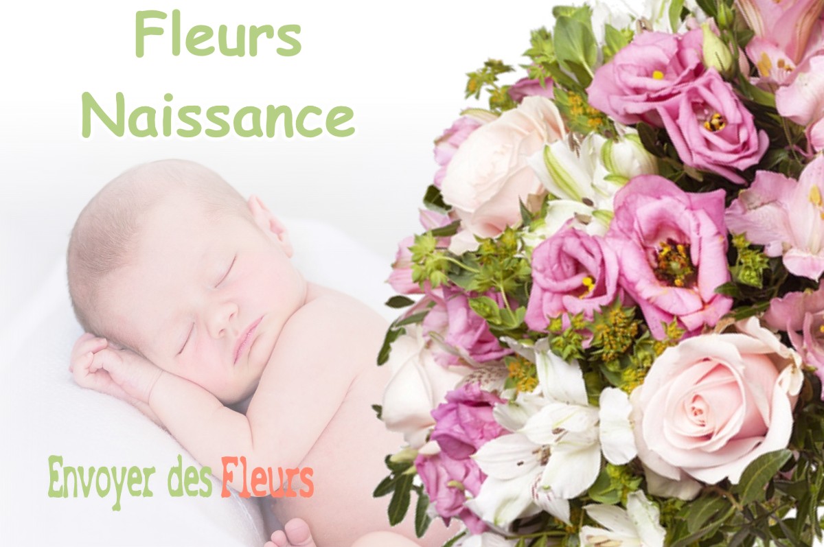 lIVRAISON FLEURS NAISSANCE à MONTESPAN